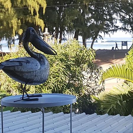 Le Pelican L'Ermitage-Les-Bains Ngoại thất bức ảnh